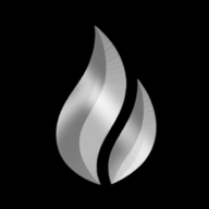 Endless Forge logo