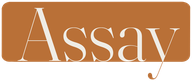 Assay logo