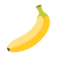 Nano Photo logo