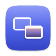 DisplayPilot logo