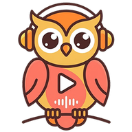 Music to Video logo
