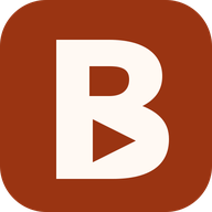 Bulin 47 AI logo