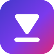 video2mp4 logo