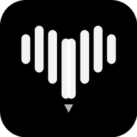 Voislabs logo