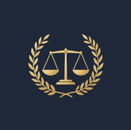 VidhiSar logo